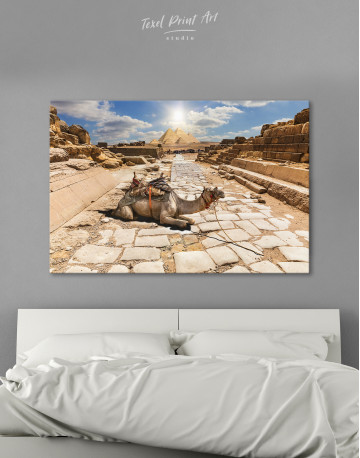 A camel in the ruins of Giza temple, Egypt Canvas Wall Art