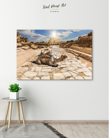 A camel in the ruins of Giza temple, Egypt Canvas Wall Art - image 6