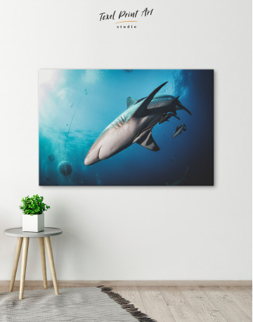 Sharks in underwater world Canvas Wall Art - image 2
