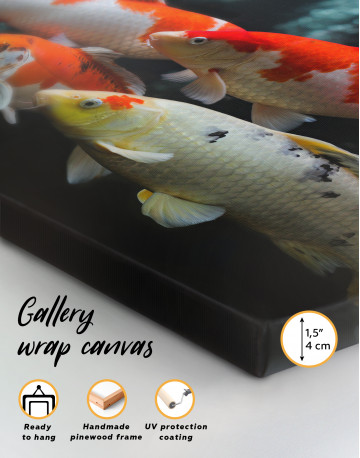 Group of various koi fish Canvas Wall Art - image 5