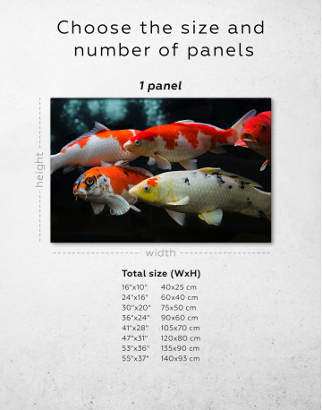 Group of various koi fish Canvas Wall Art - image 1