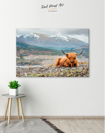Fluffy highland cow Canvas Wall Art - image 8