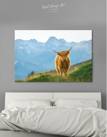 Highlander scottish cow Canvas Wall Art