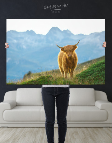 Highlander scottish cow Canvas Wall Art - image 2