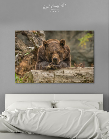 Closeup grizzly bear Canvas Wall Art
