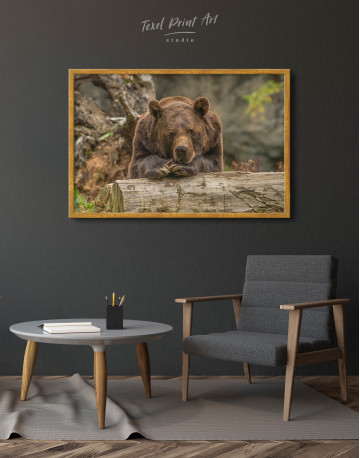 Framed Closeup grizzly bear Canvas Wall Art - image 5