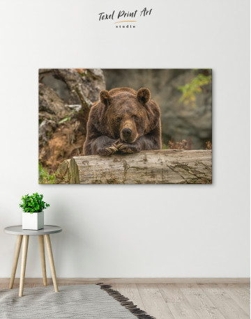 Closeup grizzly bear Canvas Wall Art - image 8