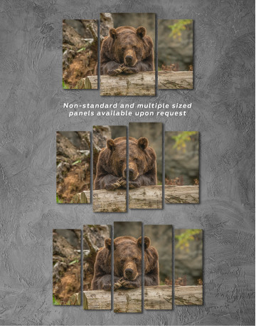 Closeup grizzly bear Canvas Wall Art - image 5