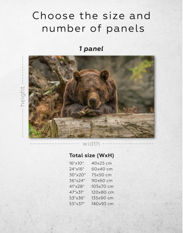 Closeup grizzly bear Canvas Wall Art - image 1