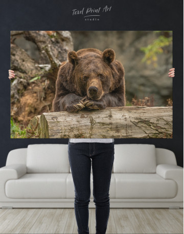Closeup grizzly bear Canvas Wall Art - image 2