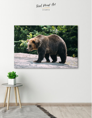 Walking brown bear Canvas Wall Art - image 8