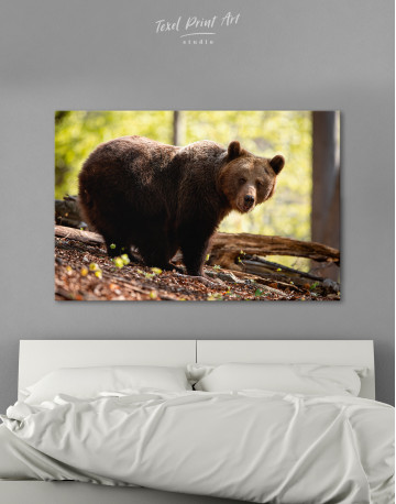 Brown bear in summer forest Canvas Wall Art