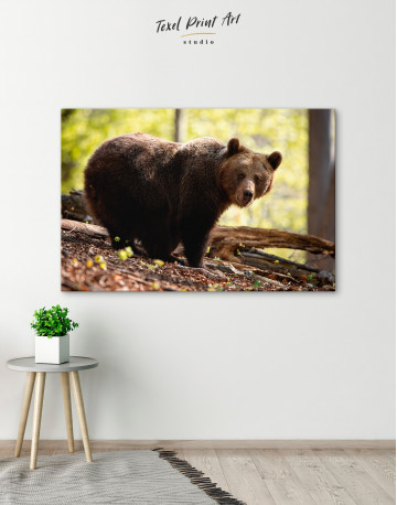 Brown bear in summer forest Canvas Wall Art - image 1