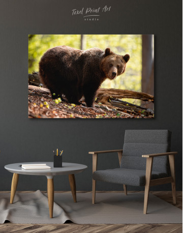 Brown bear in summer forest Canvas Wall Art - image 4