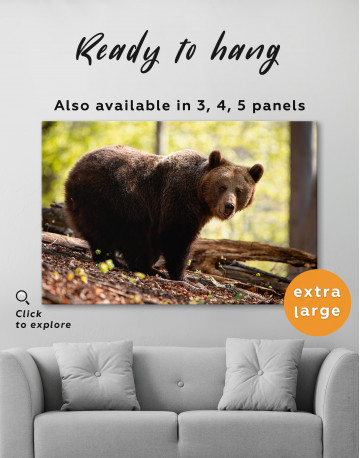 Brown bear in summer forest Canvas Wall Art - image 6