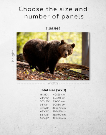 Brown bear in summer forest Canvas Wall Art - image 8