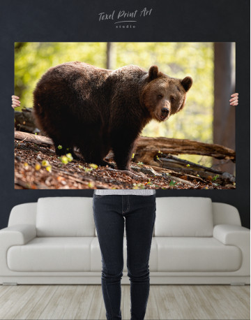 Brown bear in summer forest Canvas Wall Art - image 7
