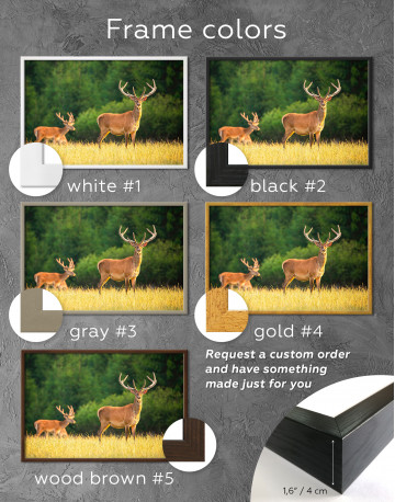 Framed Red deer on a meadow Canvas Wall Art - image 4