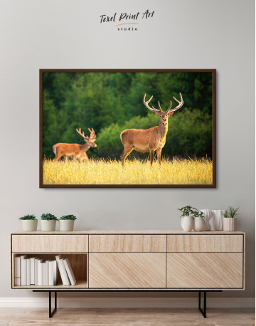 Framed Red deer on a meadow Canvas Wall Art