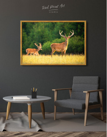 Framed Red deer on a meadow Canvas Wall Art - image 5