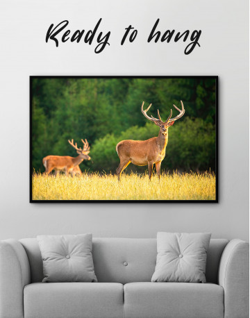 Framed Red deer on a meadow Canvas Wall Art - image 2