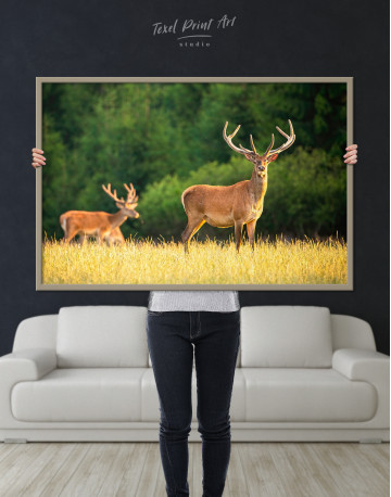 Framed Red deer on a meadow Canvas Wall Art - image 1