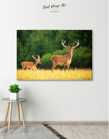 Red deer on a meadow Canvas Wall Art - image 1