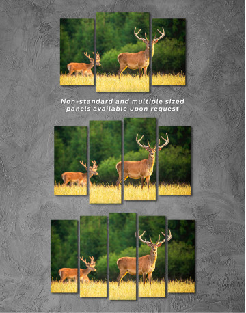 Red deer on a meadow Canvas Wall Art - image 5