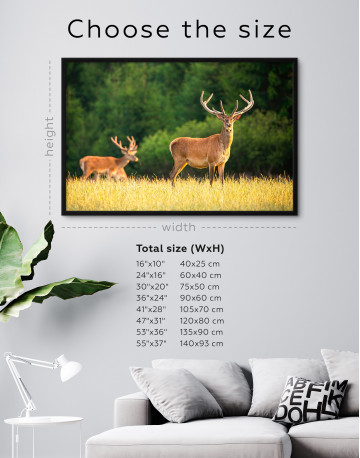 Framed Red deer on a meadow Canvas Wall Art - image 6