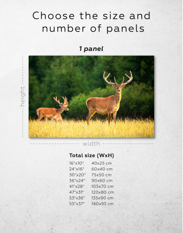Red deer on a meadow Canvas Wall Art - image 8