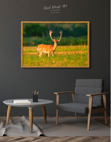Framed Fallow deer stag on a meadow Canvas Wall Art - image 1