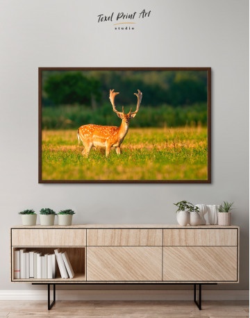 Framed Fallow deer stag on a meadow Canvas Wall Art - image 5