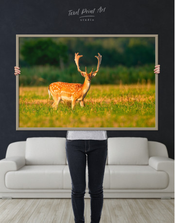 Framed Fallow deer stag on a meadow Canvas Wall Art