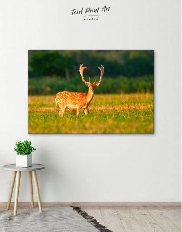 Fallow deer stag on a meadow Canvas Wall Art - image 6