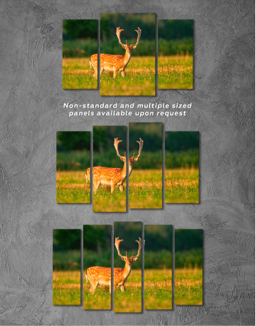 Fallow deer stag on a meadow Canvas Wall Art - image 3