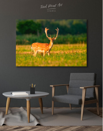 Fallow deer stag on a meadow Canvas Wall Art - image 2
