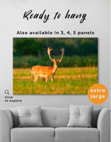 Fallow deer stag on a meadow Canvas Wall Art - image 1