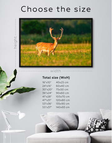 Framed Fallow deer stag on a meadow Canvas Wall Art - image 6