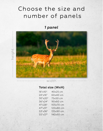Fallow deer stag on a meadow Canvas Wall Art - image 8