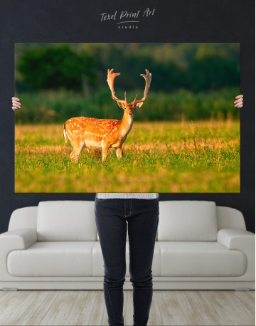 Fallow deer stag on a meadow Canvas Wall Art - image 7