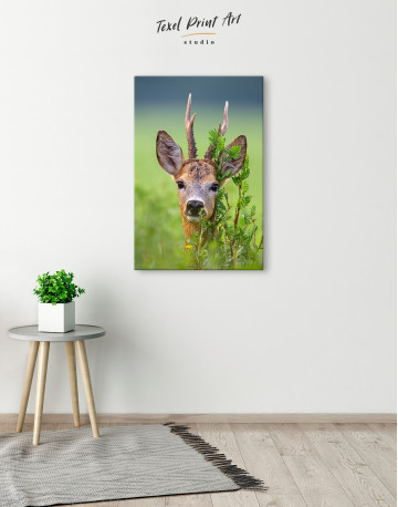 Roe Deer Buck Portrait Canvas Wall Art - image 1