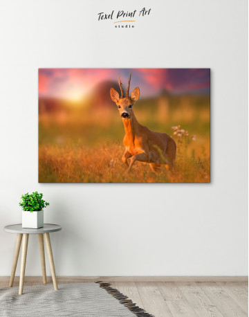 Roe deer buck on a meadow Canvas Wall Art - image 7