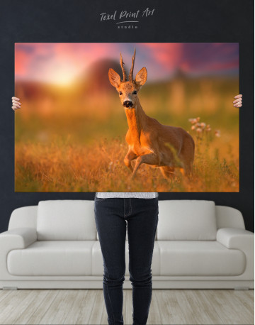 Roe deer buck on a meadow Canvas Wall Art - image 1