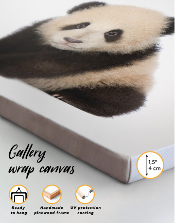 Baby panda Canvas Wall Art - image 6