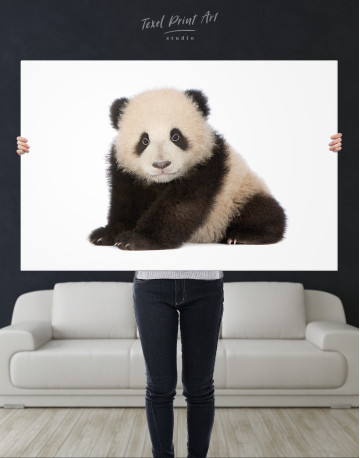 Baby panda Canvas Wall Art - image 1