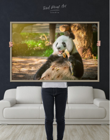 Framed Giant Panda Bear in China Canvas Wall Art - image 1