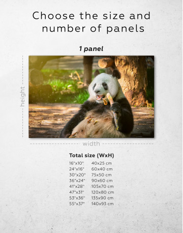 Giant Panda Bear in China Canvas Wall Art - image 1