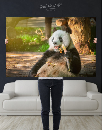 Giant Panda Bear in China Canvas Wall Art - image 2