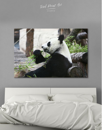 Resting  Panda Bear Canvas Wall Art
