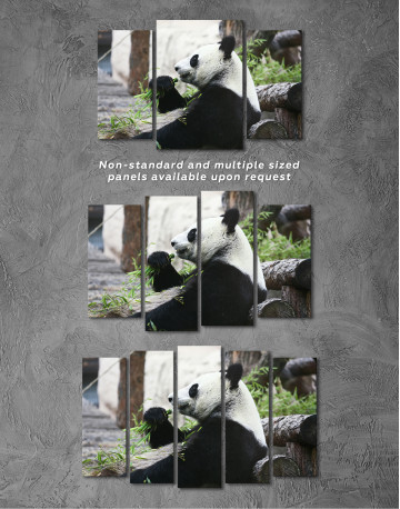 Resting  Panda Bear Canvas Wall Art - image 6